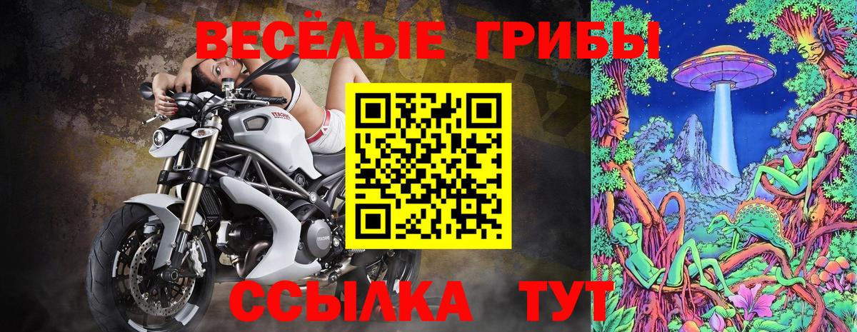 Псилоцибиновые грибы прущие грибы Хабаровск